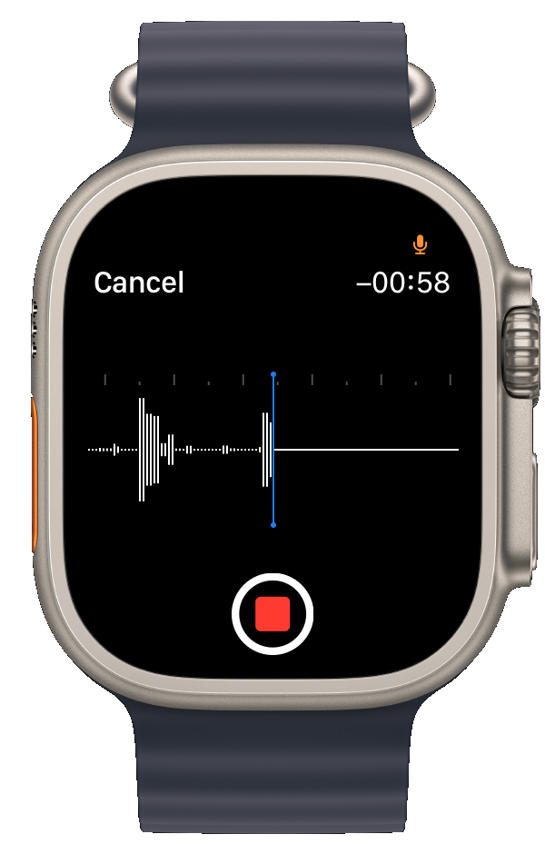 Voice Recorder on Apple Watch